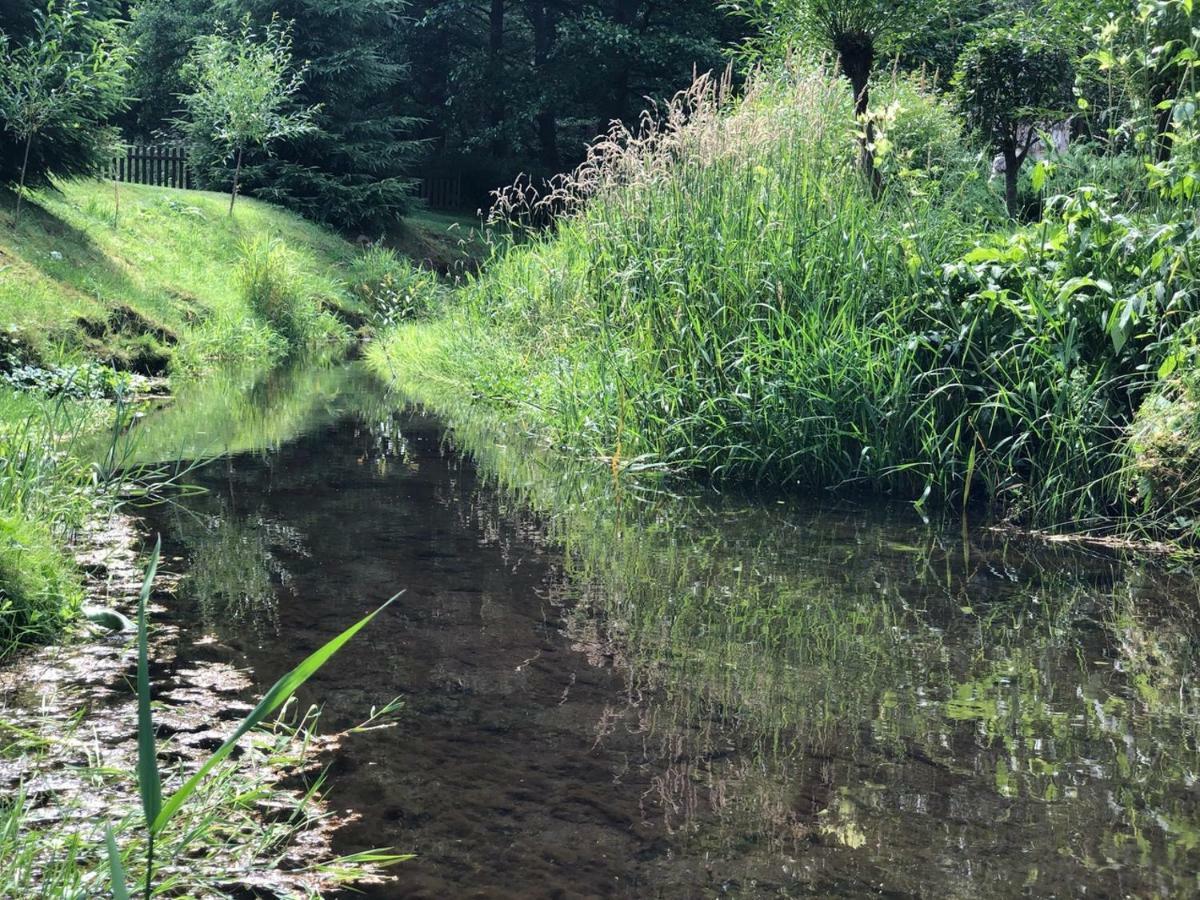 Pension Dita - Adršpach Teplice nad Metují Esterno foto